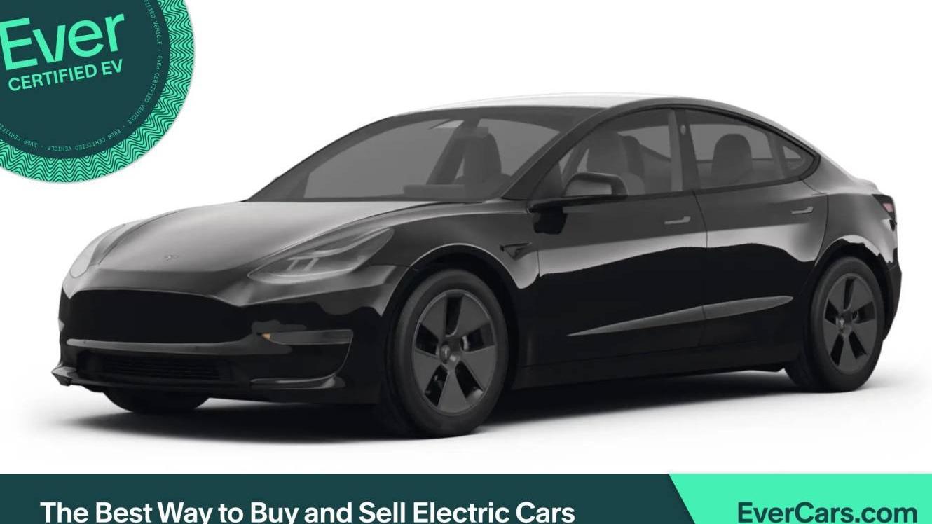 TESLA MODEL 3 2020 5YJ3E1EA9LF802218 image